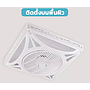 TEH-GB-FAN3:พัดลมเพดานแบบบาง