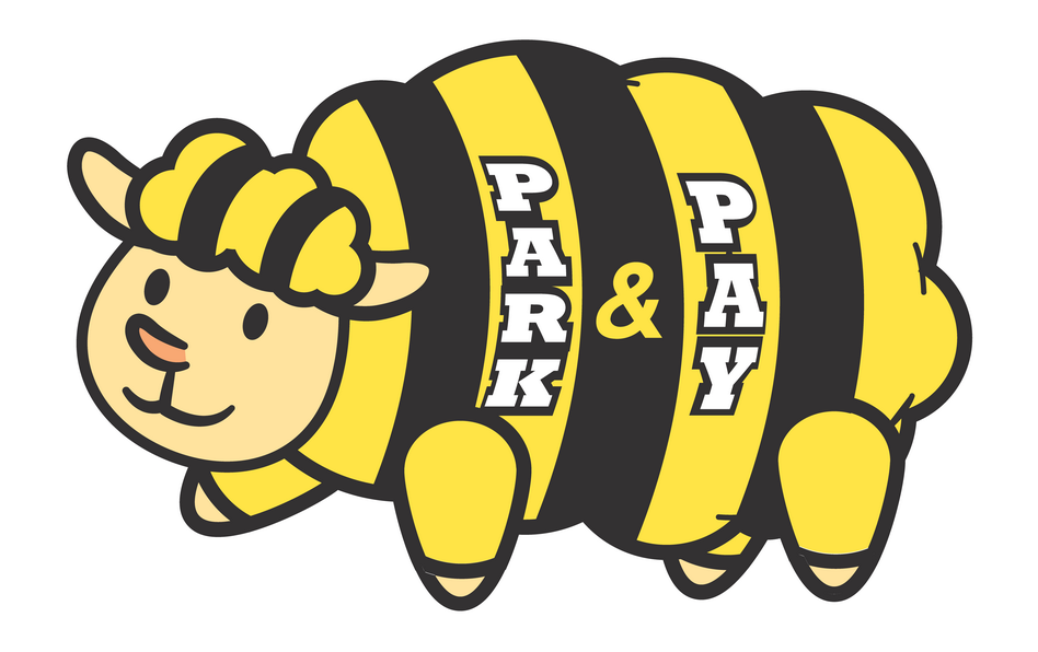 ParkPay Mini