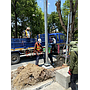 TE-ROD06:เสาไฟฟ้า Mast arm โค้ง